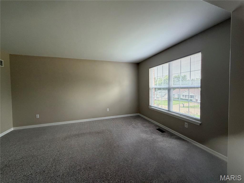 1002 Sara Jane Lane Property Photo 5