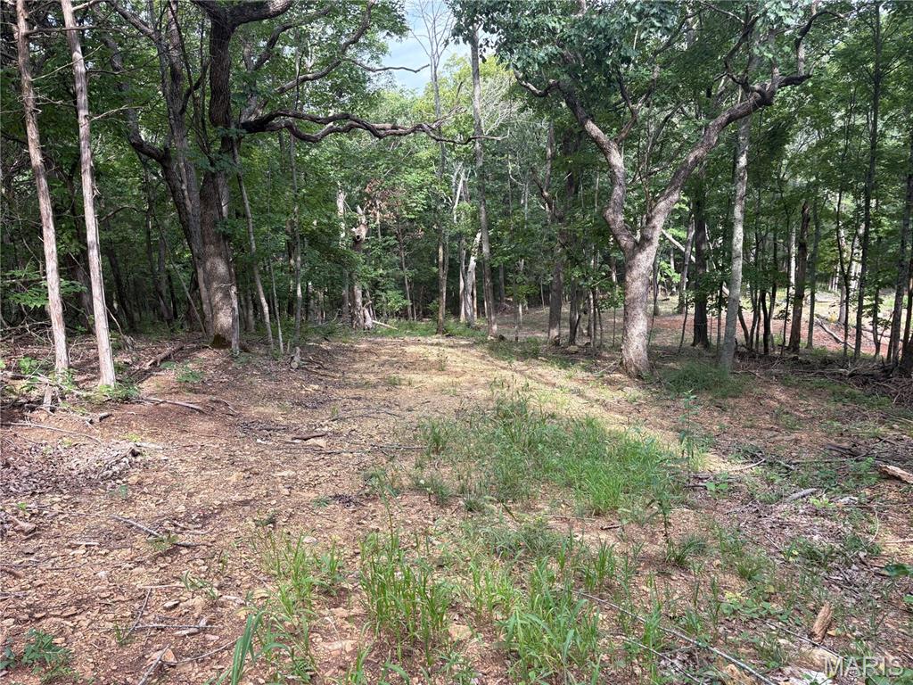 1616 Timber Bluff Trail