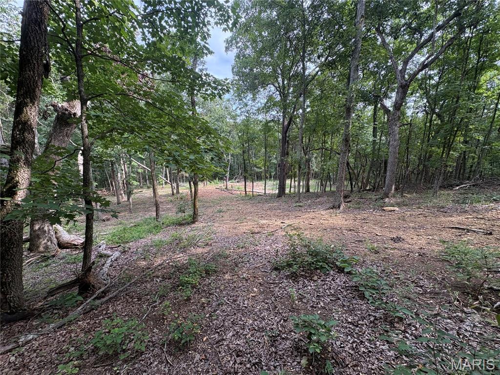 1616 Timber Bluff Trail Property Photo 2