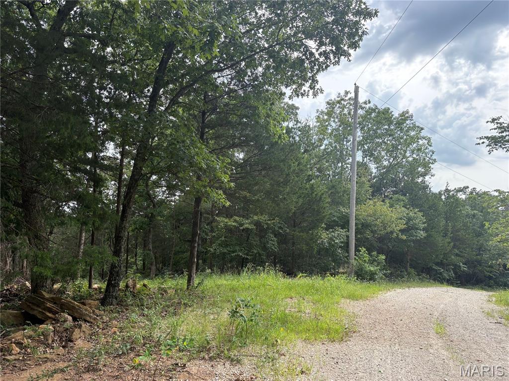 1616 Timber Bluff Trail Property Photo 3