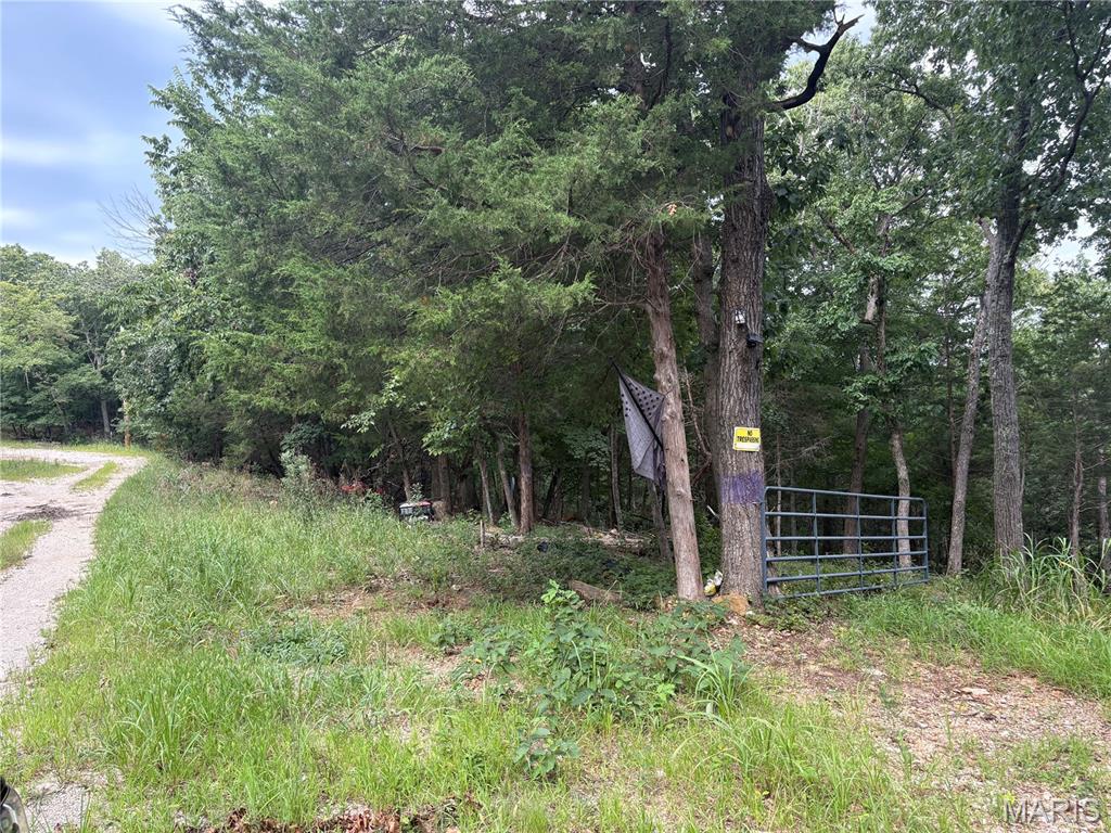 1616 Timber Bluff Trail Property Photo 4