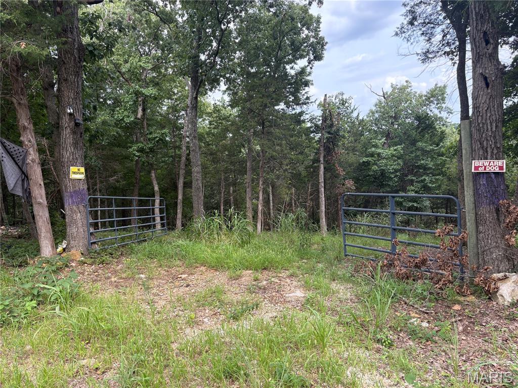 1616 Timber Bluff Trail Property Photo 5