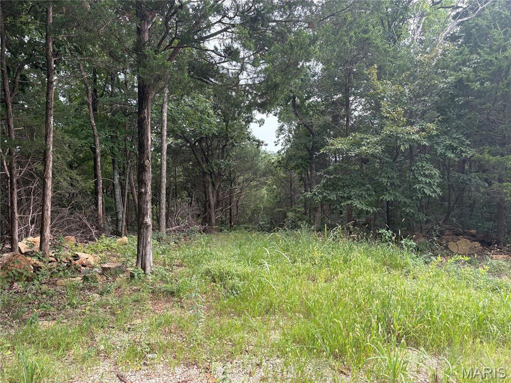 1616 Timber Bluff Trail Property Photo 6