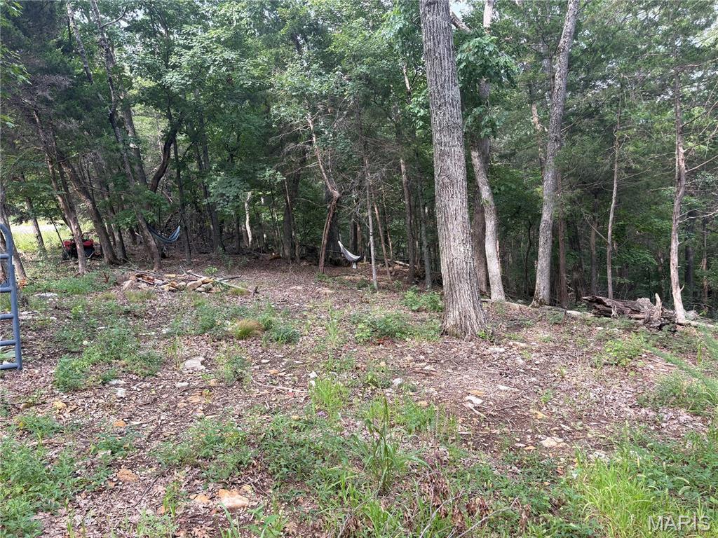 1616 Timber Bluff Trail Property Photo 7