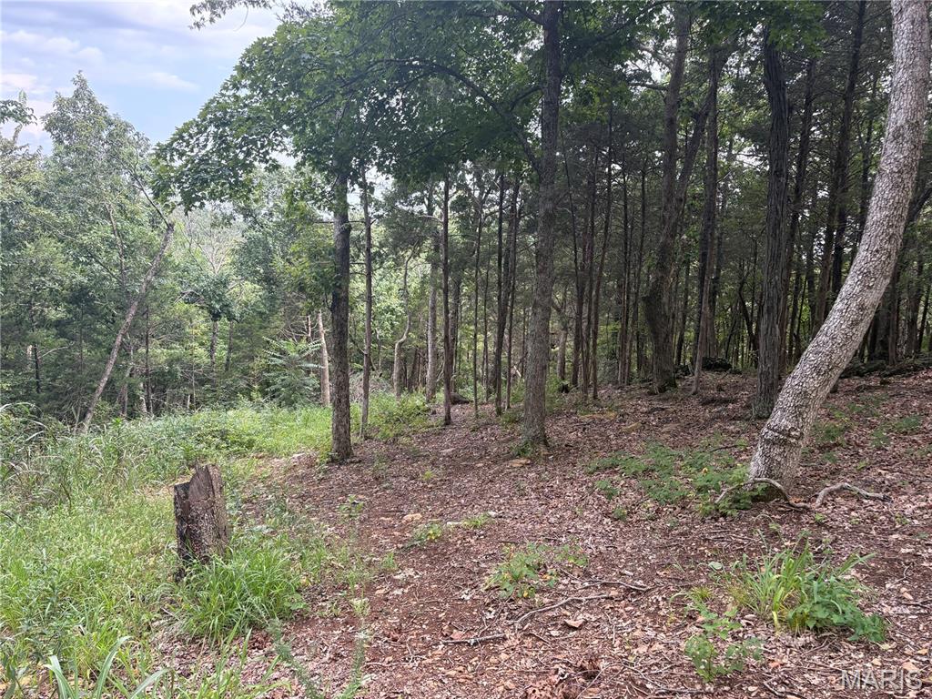 1616 Timber Bluff Trail Property Photo 8