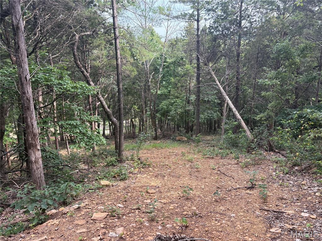 1616 Timber Bluff Trail Property Photo 9