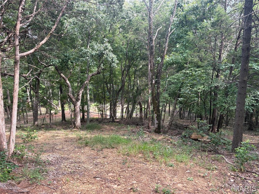 1616 Timber Bluff Trail Property Photo 10