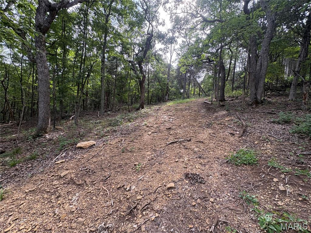 1616 Timber Bluff Trail Property Photo 11