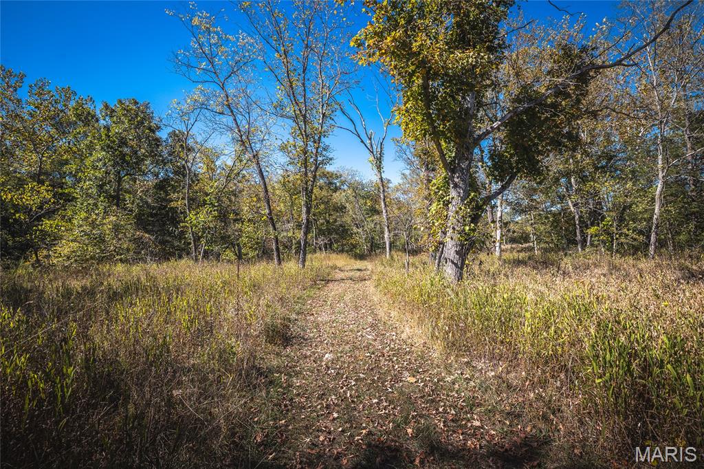 0 Clear Creek Road Property Photo 29