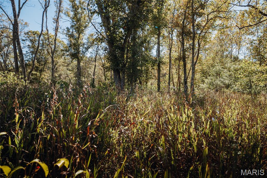 0 Clear Creek Road Property Photo 30