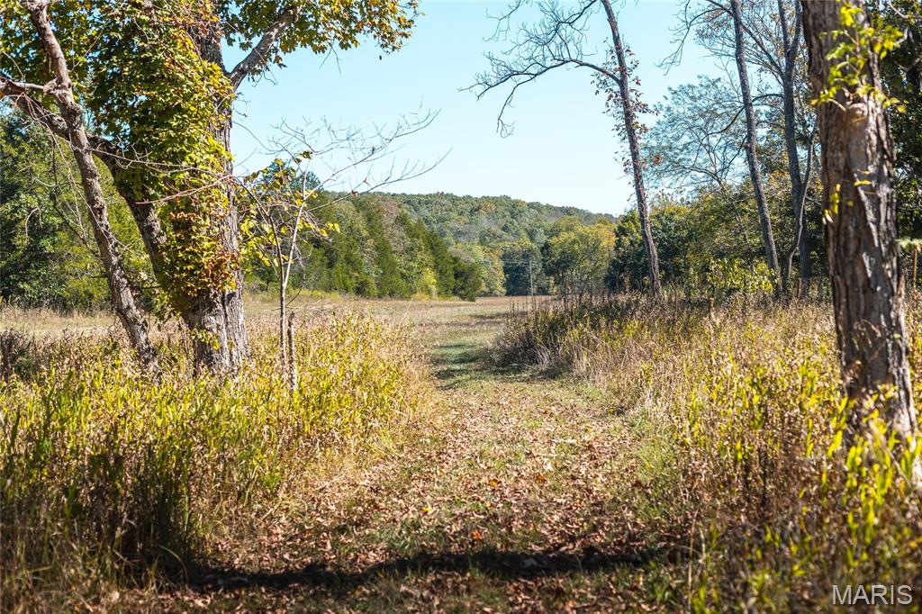0 Clear Creek Road Property Photo 39