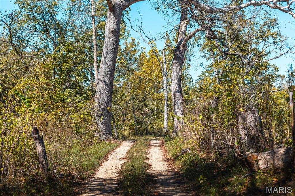 0 Clear Creek Road Property Photo 40