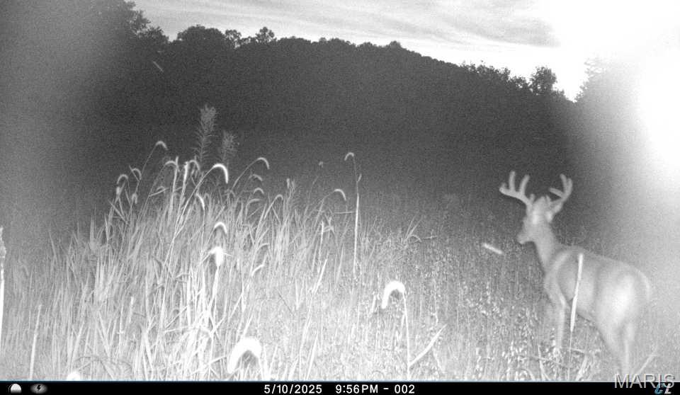 0 Clear Creek Road Property Photo 62