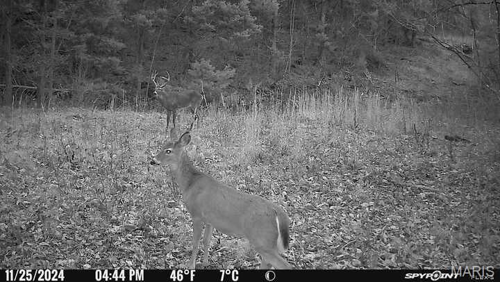 0 Clear Creek Road Property Photo 65