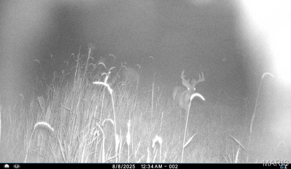 0 Clear Creek Road Property Photo 68