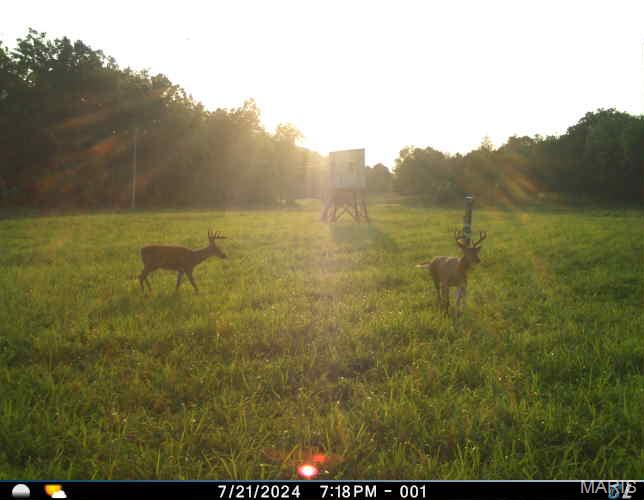 0 Clear Creek Road Property Photo 72