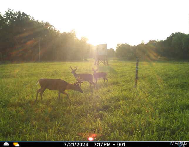 0 Clear Creek Road Property Photo 74
