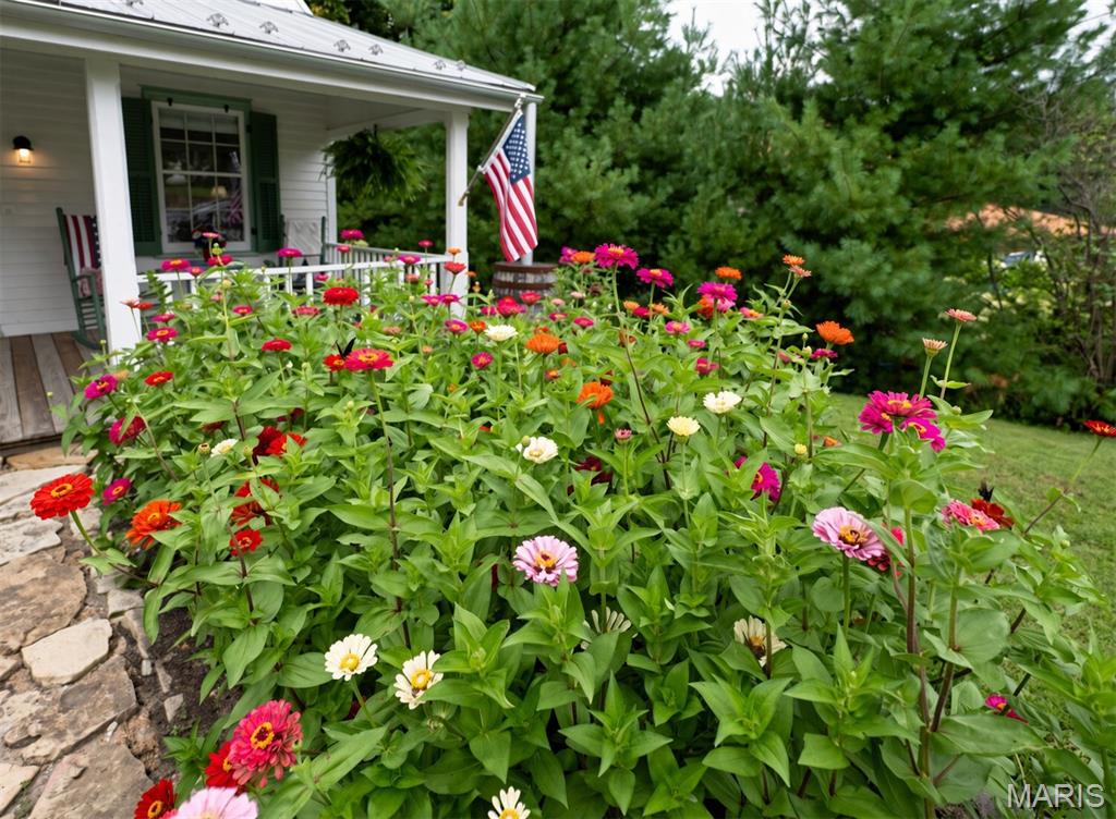 215 Jackson Street Property Photo 7