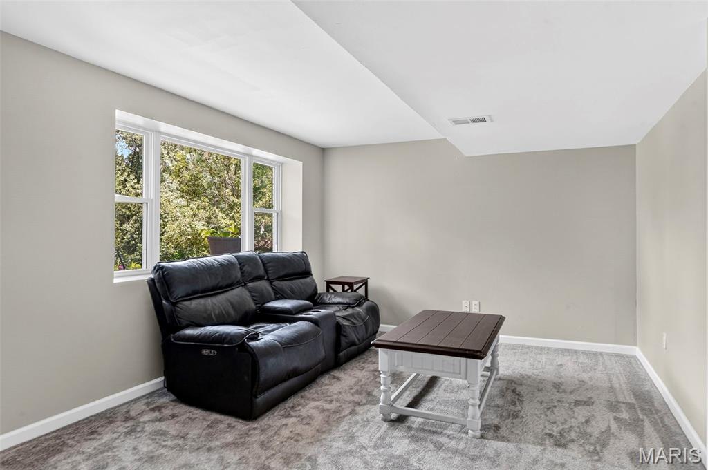 204 Appletree Court Property Photo 29