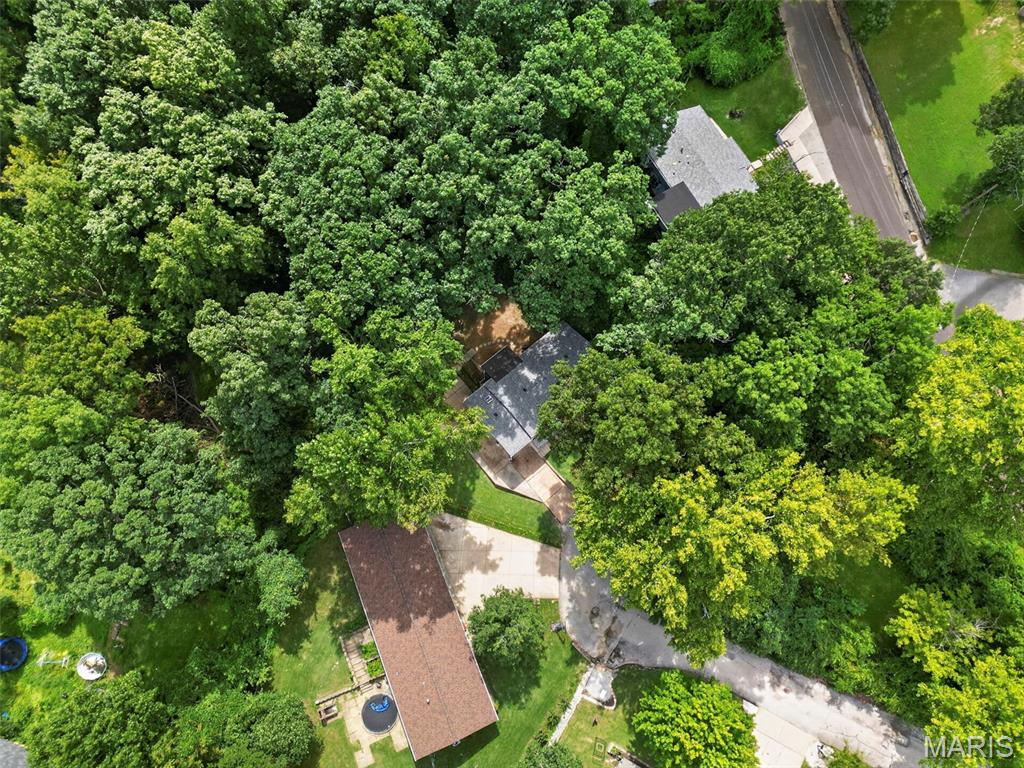 204 Appletree Court Property Photo 41