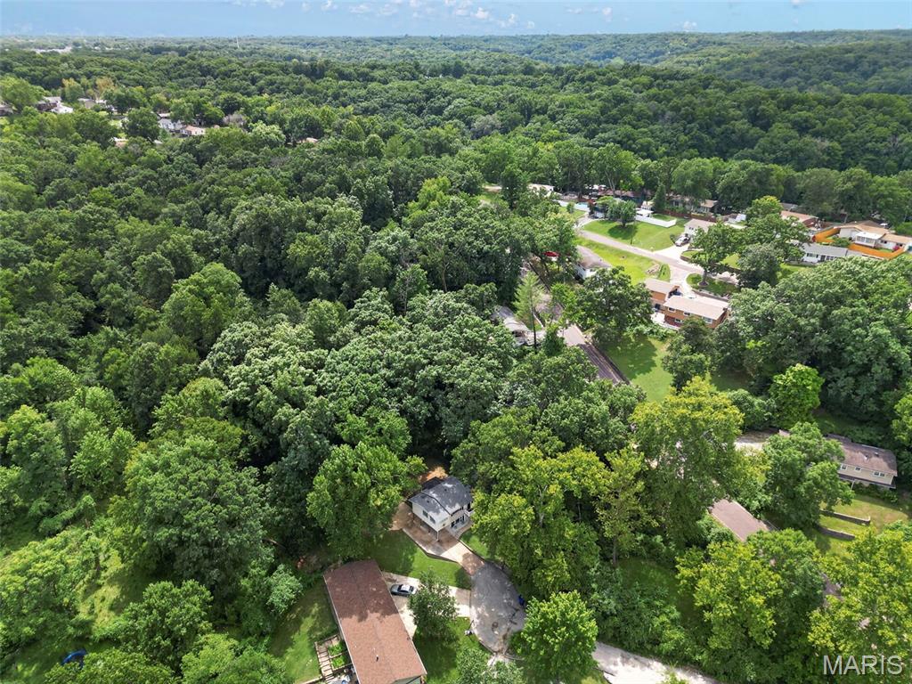 204 Appletree Court Property Photo 42