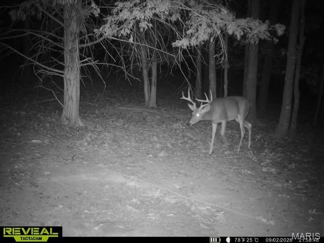 000 Brainerd Ln Property Photo 1