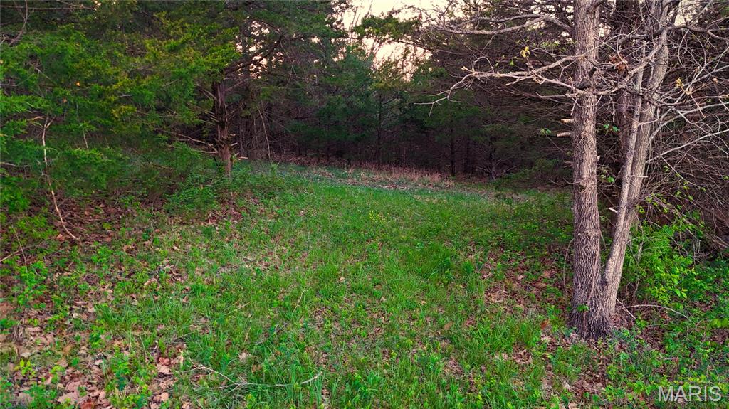 000 Brainerd Ln Property Photo 23
