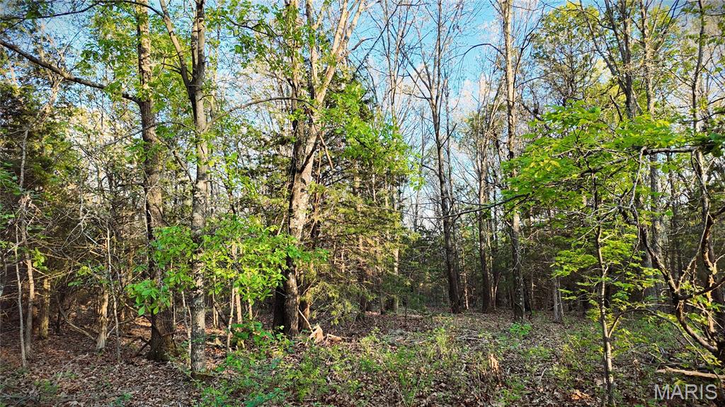 000 Brainerd Ln Property Photo 25