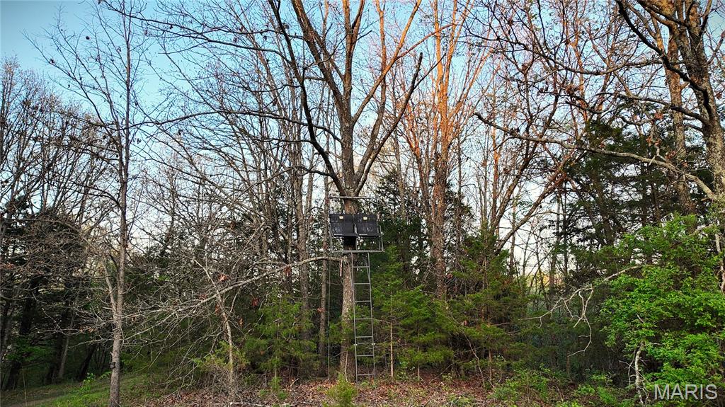 000 Brainerd Ln Property Photo 31