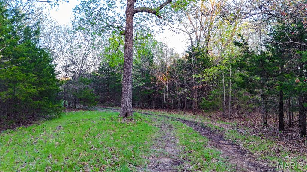 000 Brainerd Ln Property Photo 34