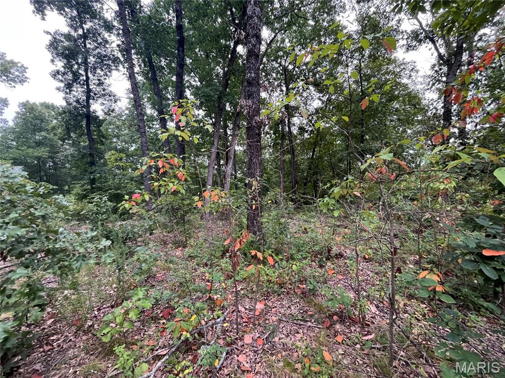 000 Partridge Property Photo 1