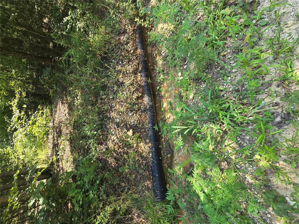 0001 County Road 421 Property Photo 2
