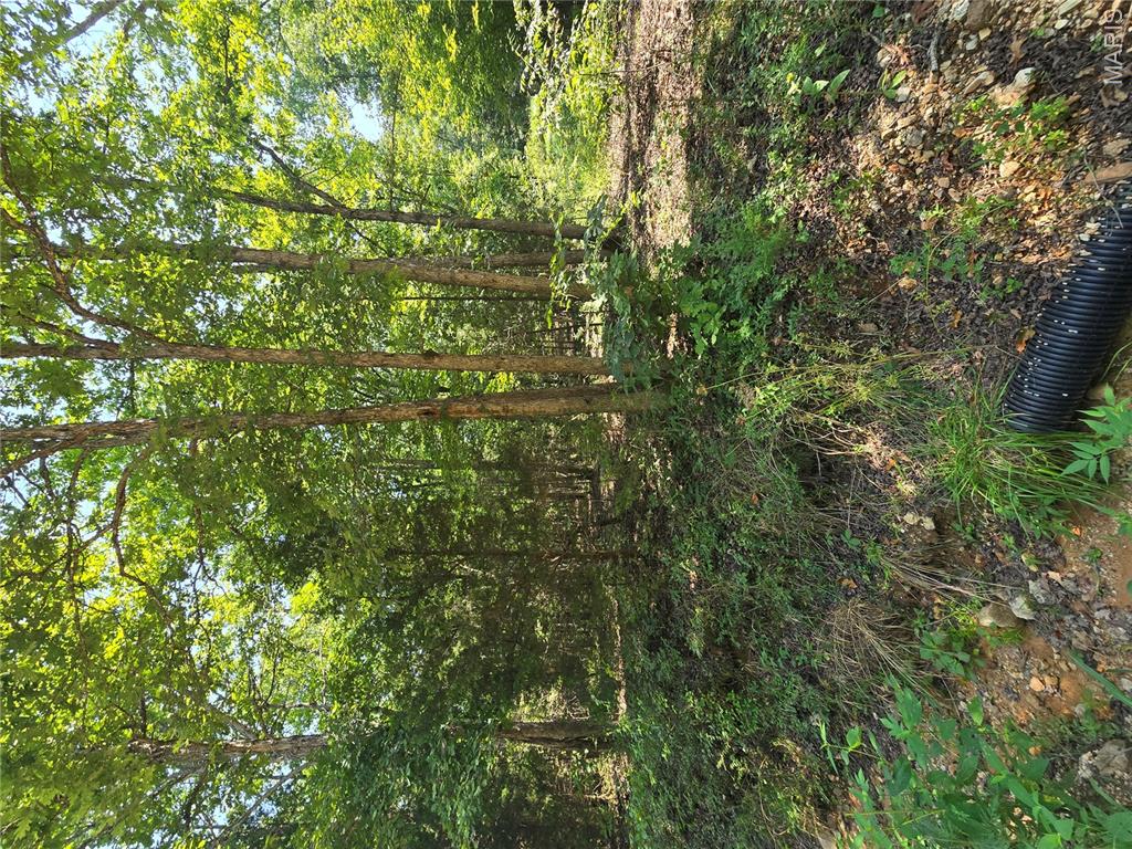 0001 County Road 421 Property Photo 4