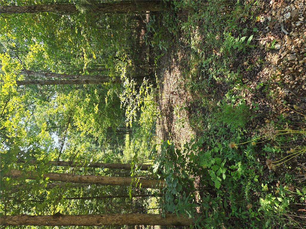 0001 County Road 421 Property Photo 7