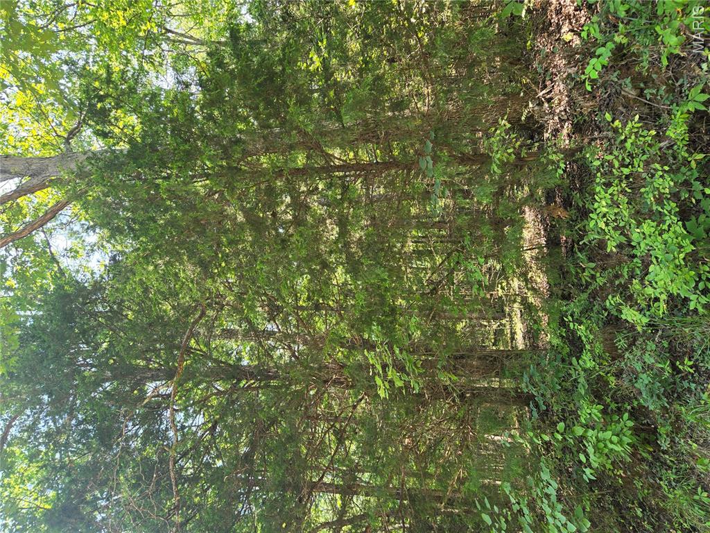 0001 County Road 421 Property Photo 8