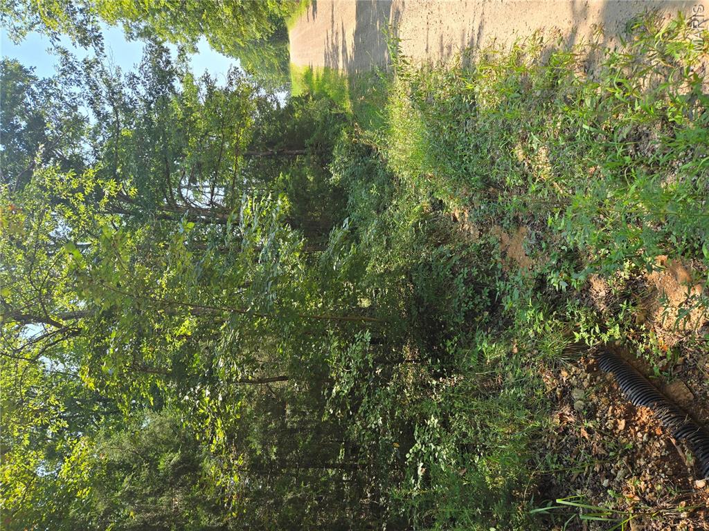 0001 County Road 421 Property Photo 10
