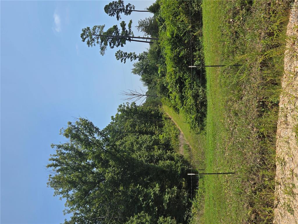 0001 County Road 421 Property Photo 11