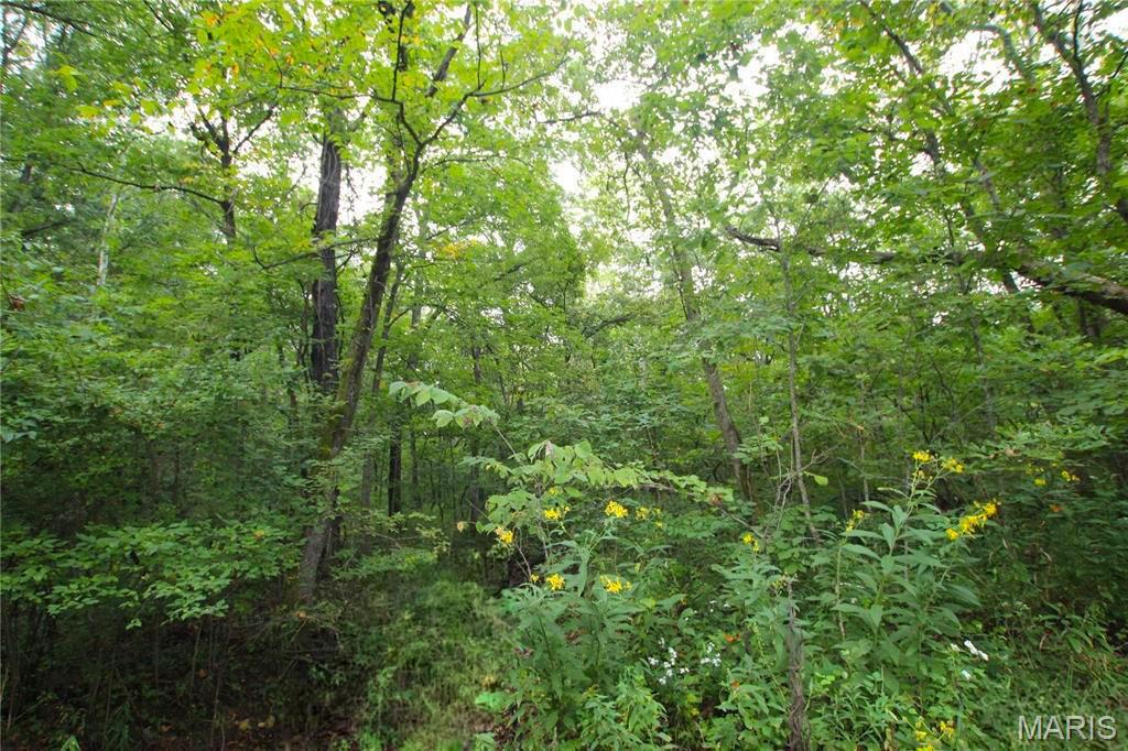4.14 +/- Acres Pendleton Lost Creek Road Property Photo 1