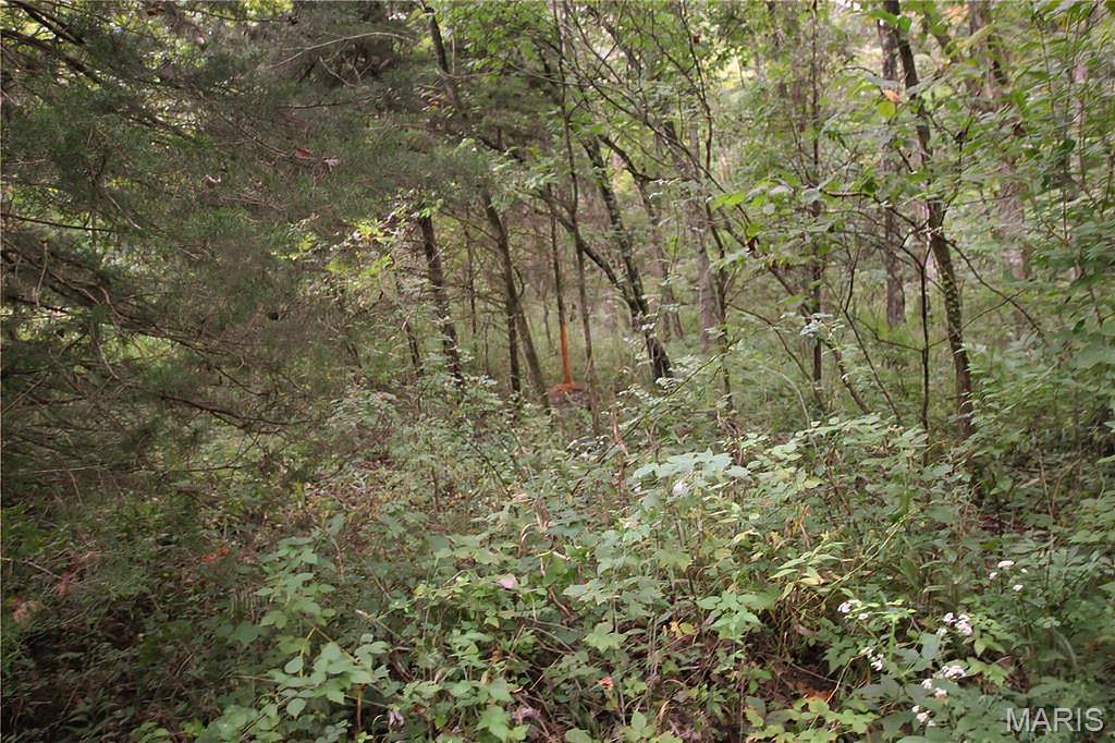 4.65 +/- Acres Pendleton Lost Creek Road Property Photo 1