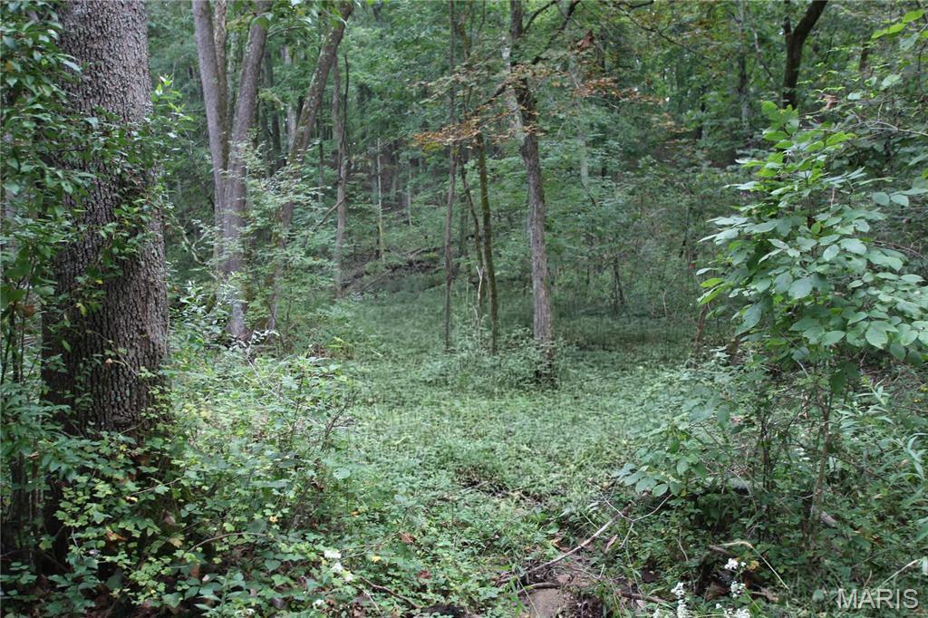 6.72 +/- Acres Pendleton Lost Creek Road Property Photo 1