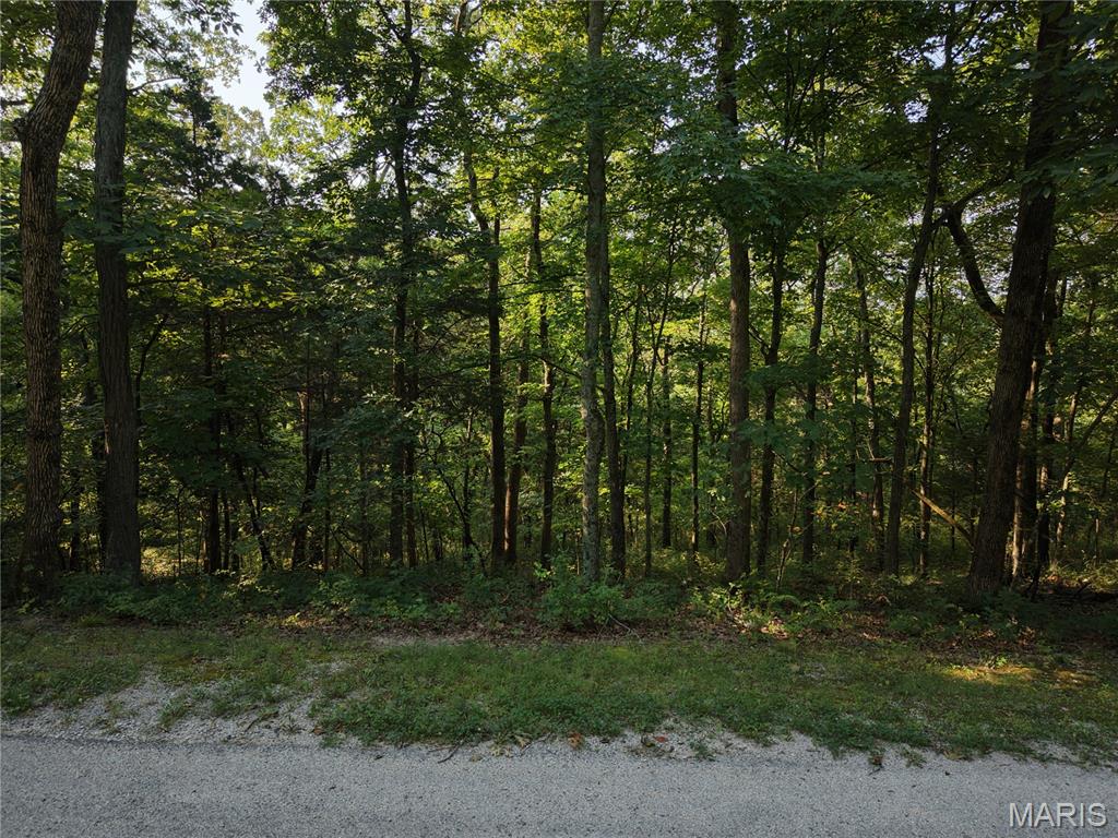 000 Fairfield Valley Road Property Photo 15