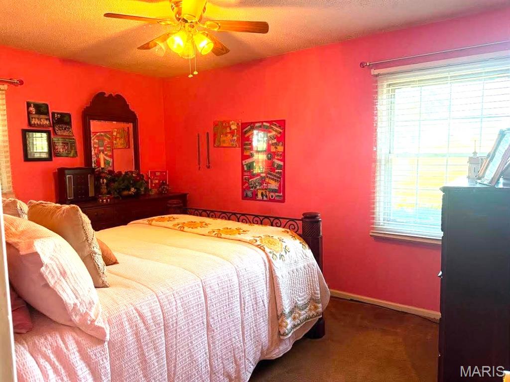 17202 Highway 64 Property Photo 32