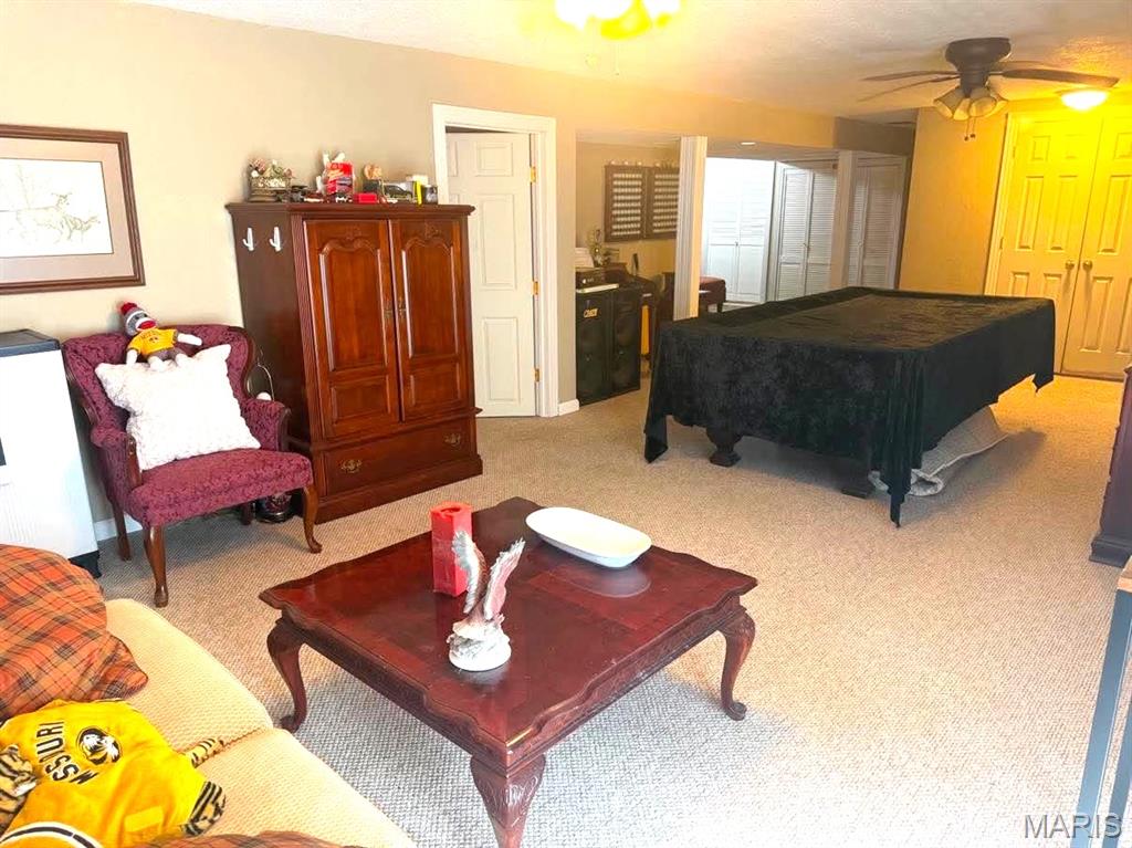 17202 Highway 64 Property Photo 38