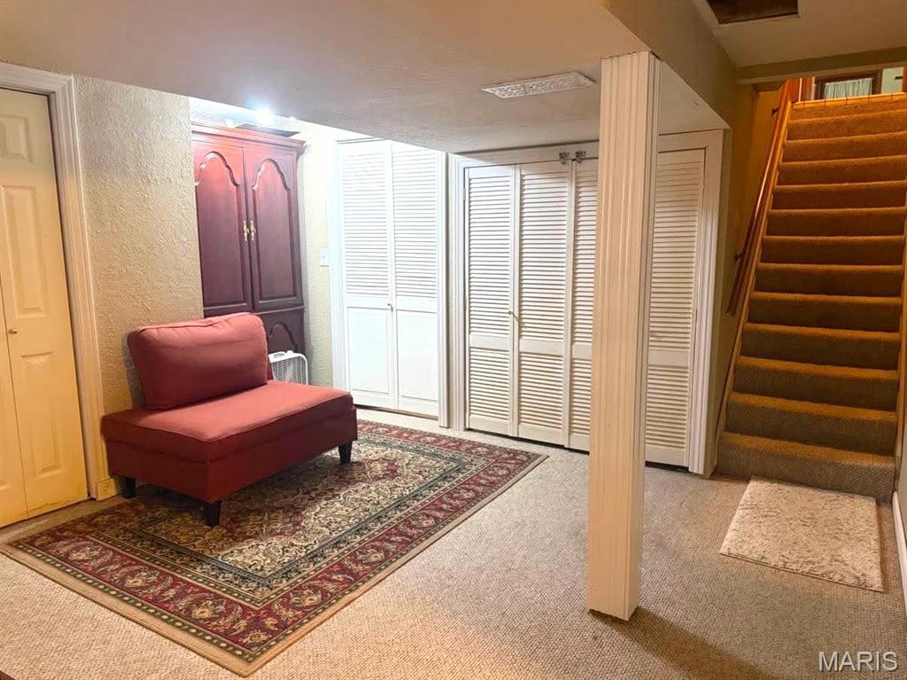 17202 Highway 64 Property Photo 40