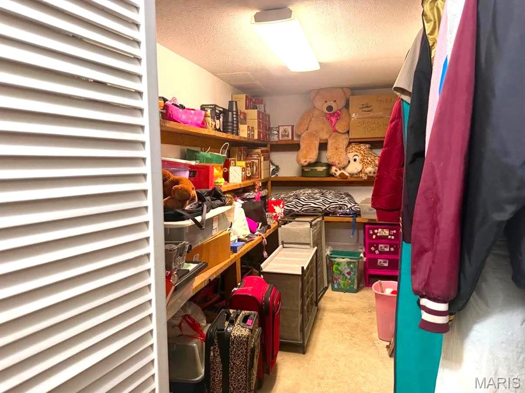 17202 Highway 64 Property Photo 44