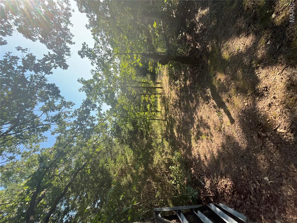 4755 Highway B Property Photo 22