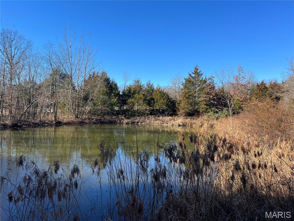 4755 Highway B Property Photo 69