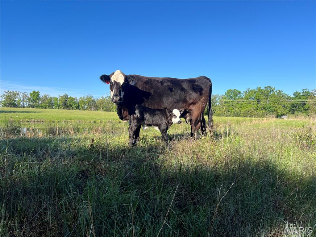 4755 Highway B Property Photo 73