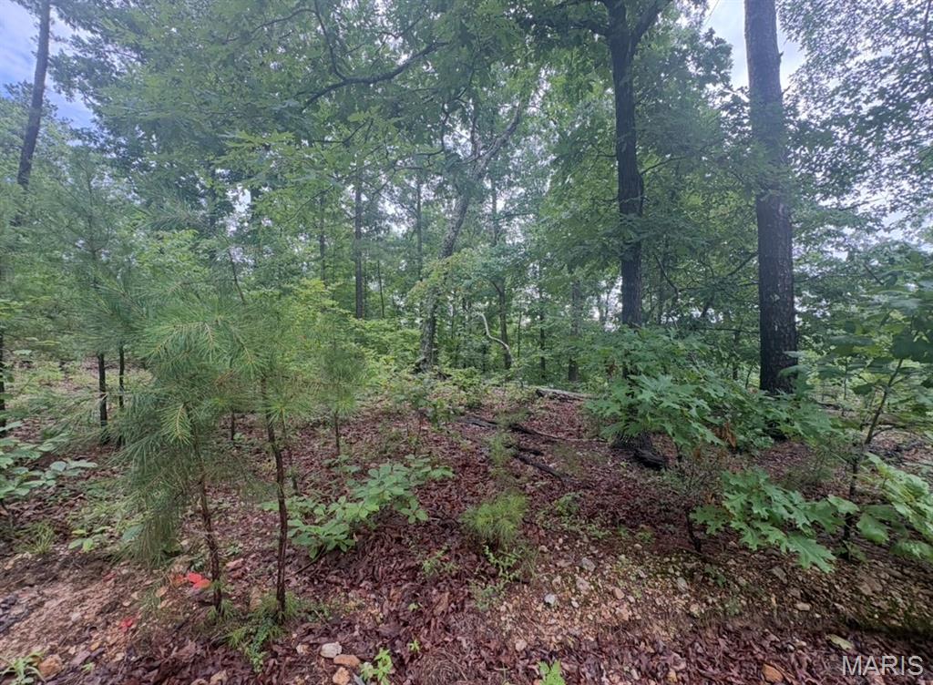 0 County Road 447 Property Photo 1