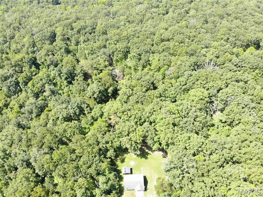 464 Red Fox Drive Property Photo 4